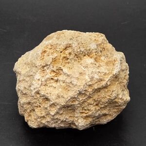 Natural Uncut Geode From Mississippi River .514lb